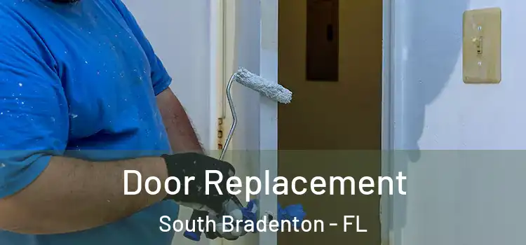 Door Replacement South Bradenton - FL