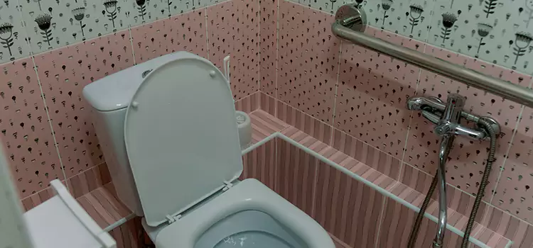 Meeting Diverse Needs With Accessible Restroom Solutions in South Bradenton, FL